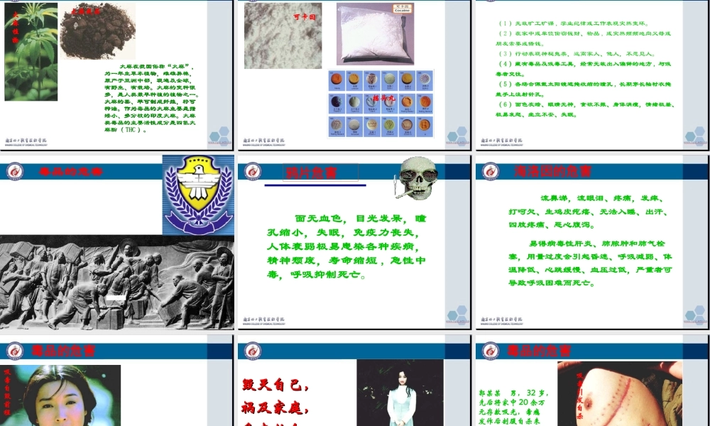 常见毒品种类因卡可吗啡大麻.ppt