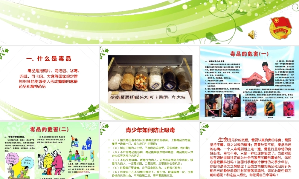 拒绝毒品-远离邪教-珍爱生命.ppt