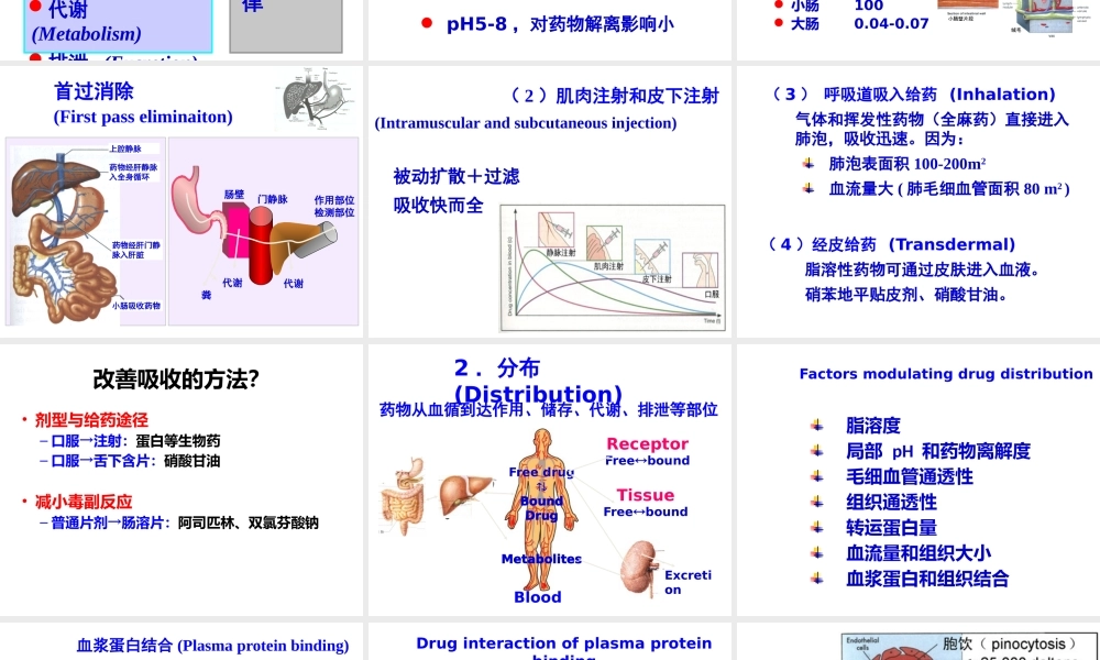 药代动力学总论.pptx