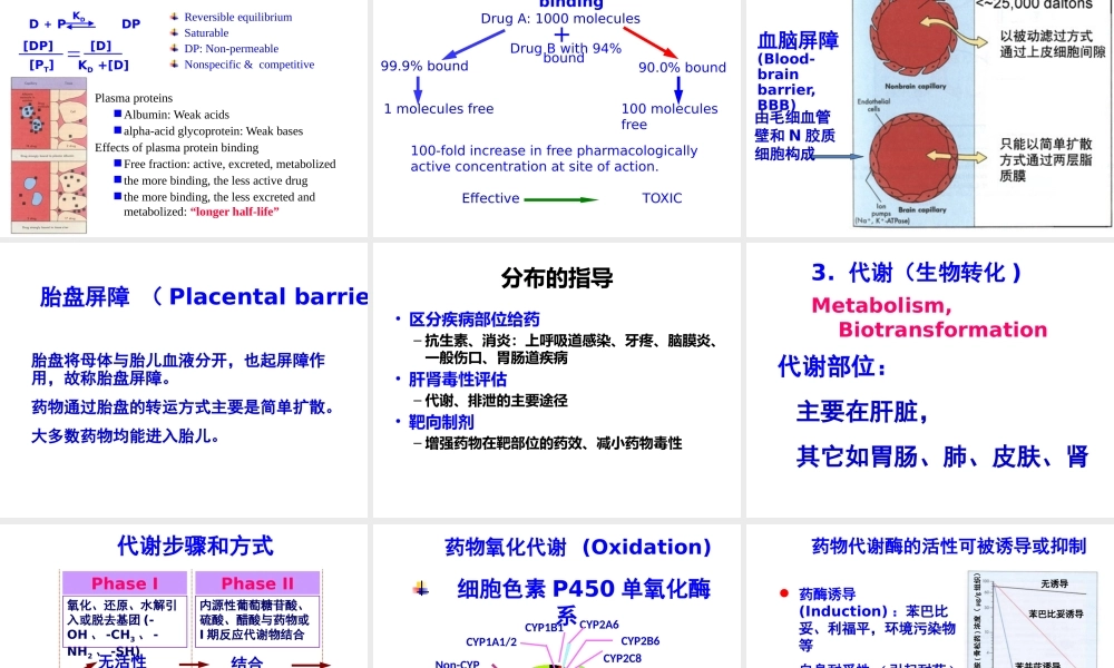 药代动力学总论.pptx