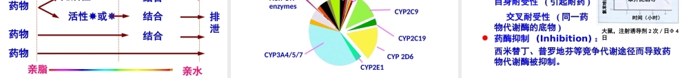 药代动力学总论.pptx