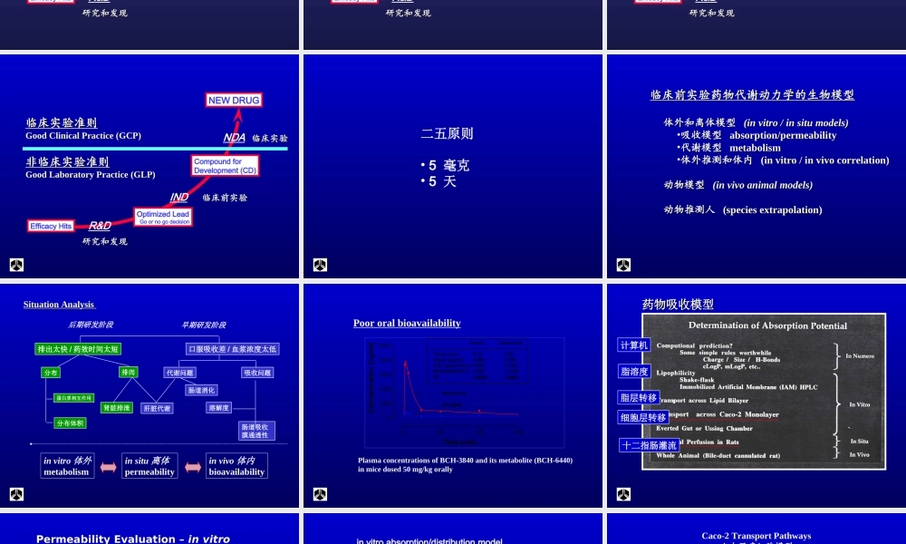 药代动力学在新药研发中的作用.ppt