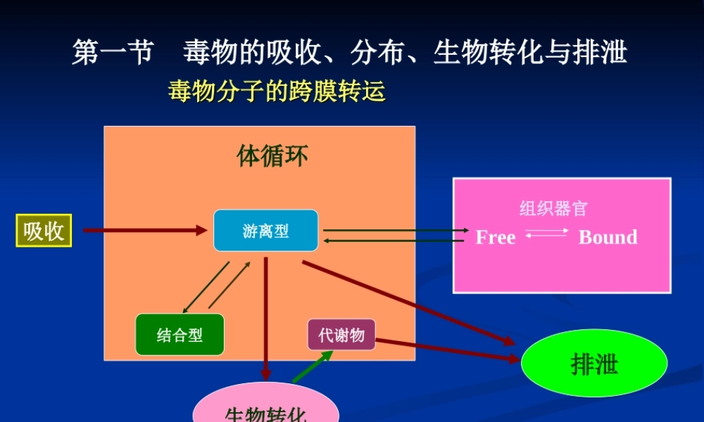 药代学参考.ppt