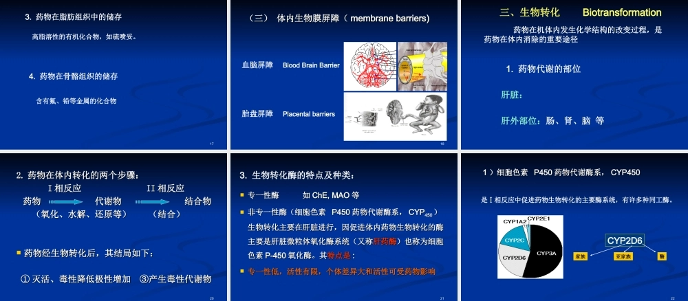 药代学参考.ppt