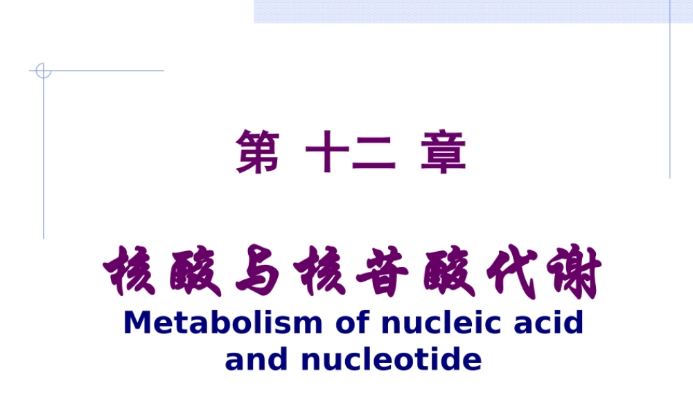 药学-第12节-核苷酸.ppt