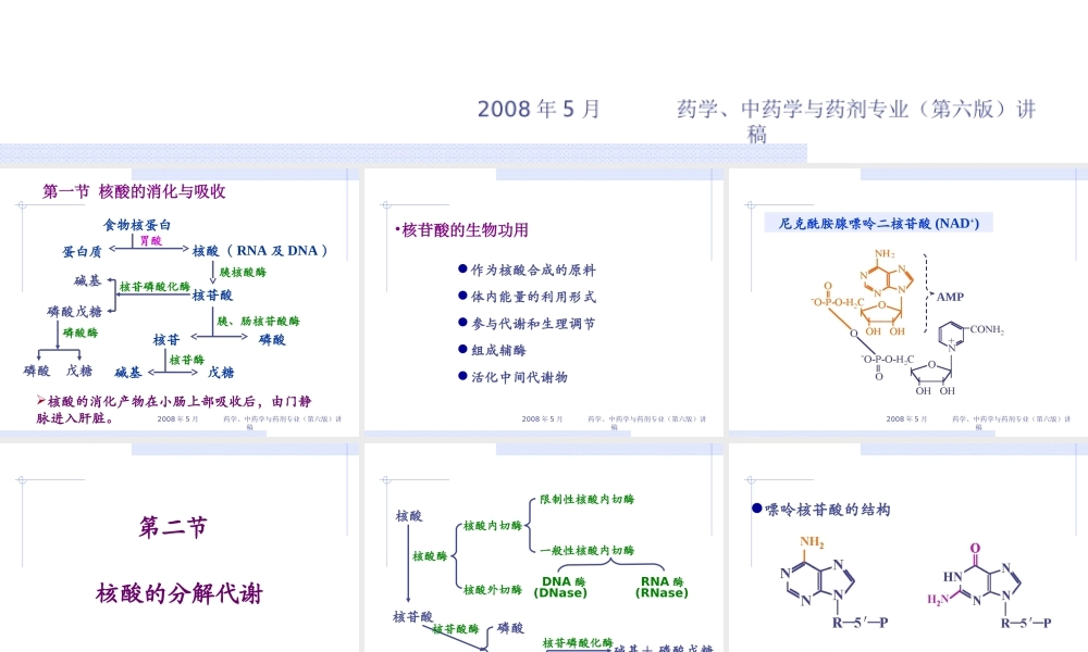 药学-第12节-核苷酸.ppt