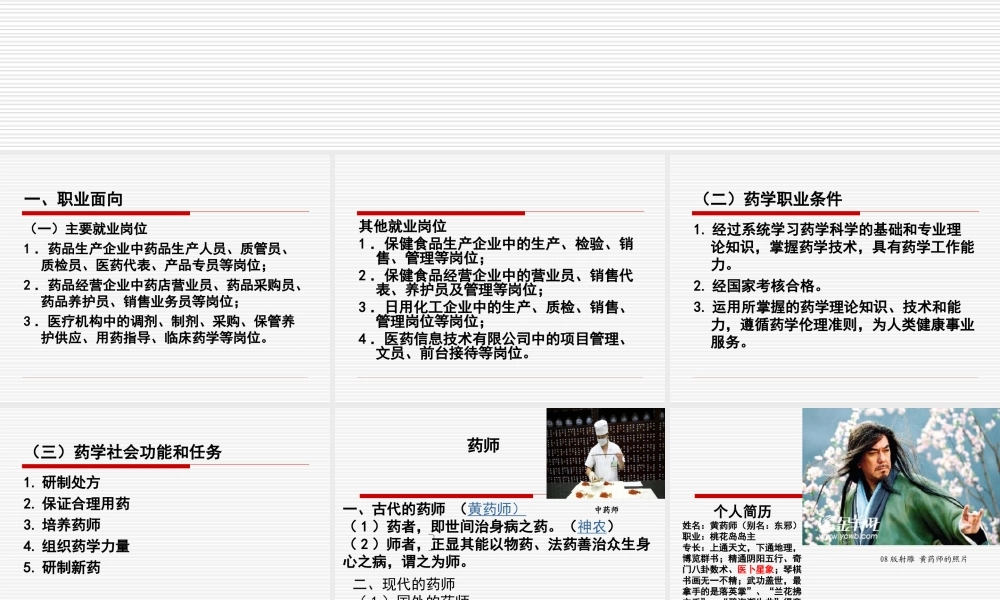 药学专业职业定位.ppt