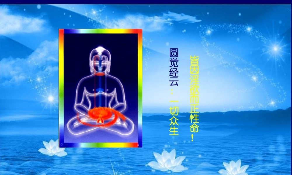 药师佛○小小恩爱觉空空复习.ppt