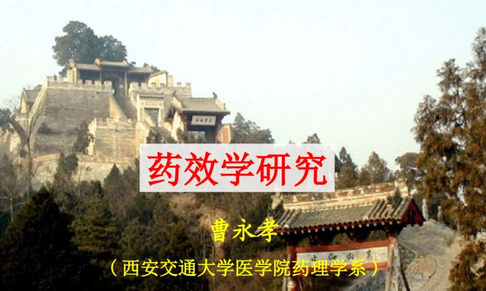 药效学研究.ppt