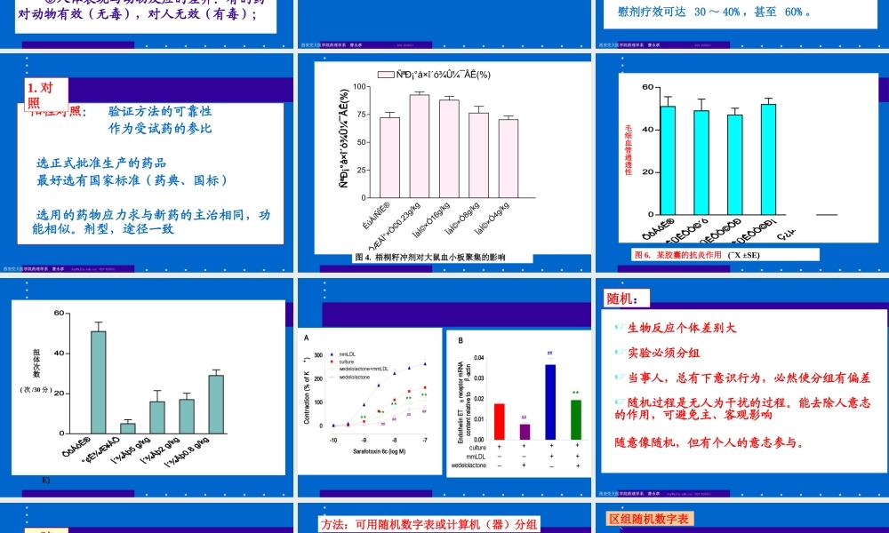 药效学研究.ppt