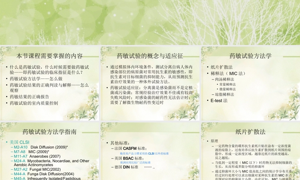 药敏试验简介.ppt