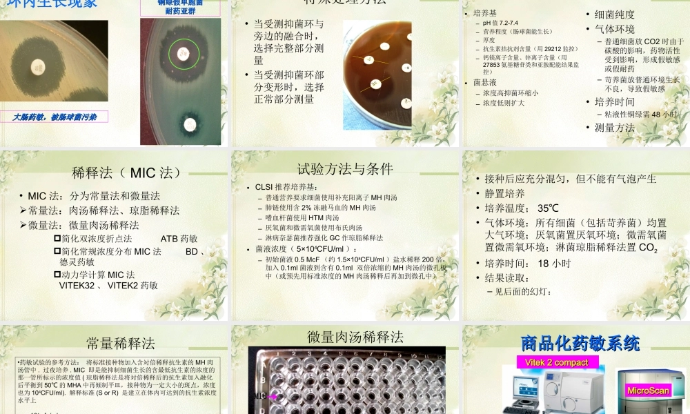 药敏试验简介.ppt