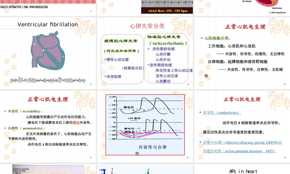 药理-20抗心律失常药.ppt