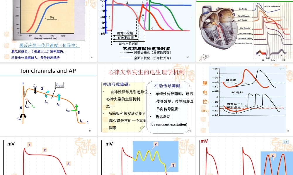 药理-20抗心律失常药.ppt
