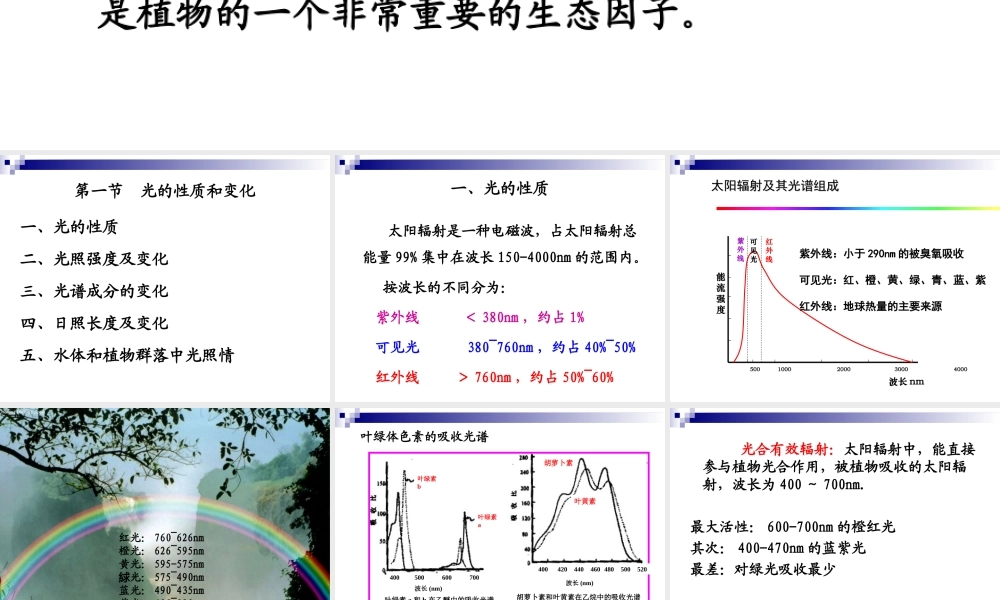 药用植物与光.ppt