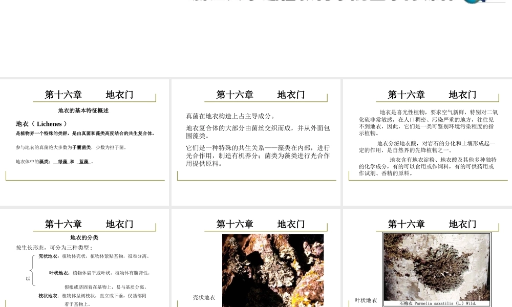 药用植物学-淅江大学16地衣门.ppt