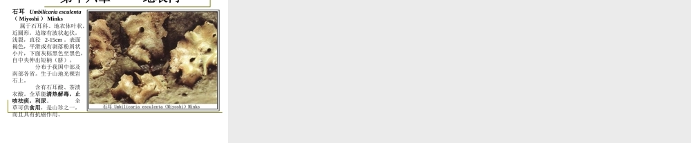 药用植物学-淅江大学16地衣门.ppt