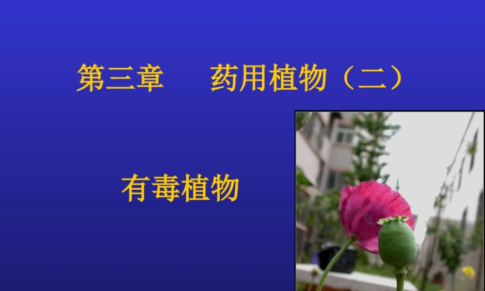 药用植物二-有毒植物.ppt