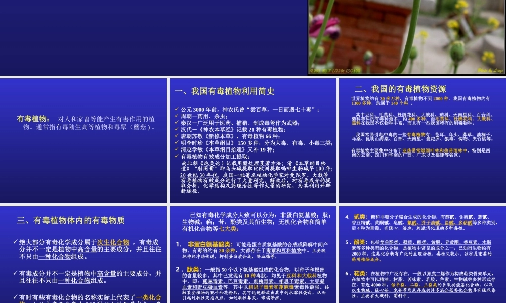 药用植物二-有毒植物.ppt