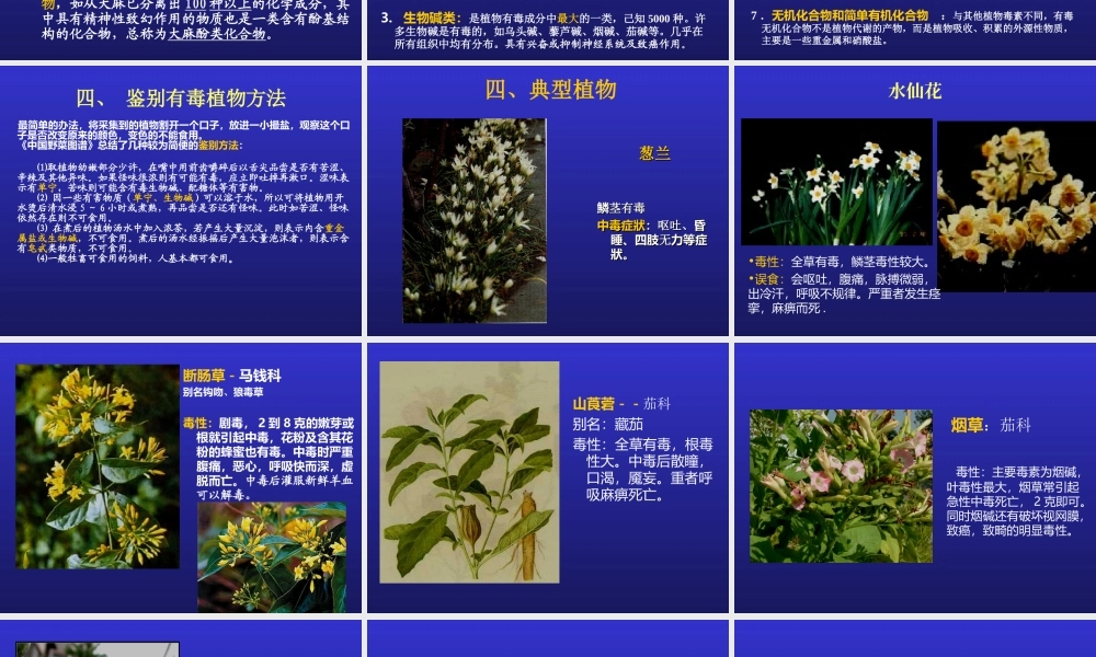 药用植物二-有毒植物.ppt