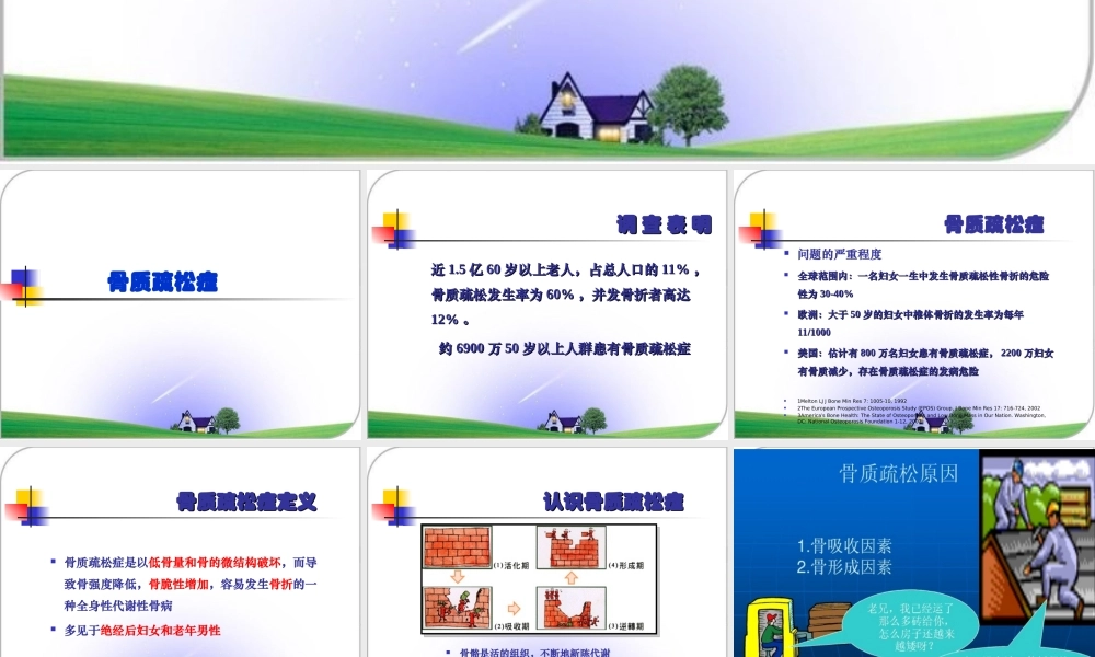 药综-十三章-骨质疏松症.ppt