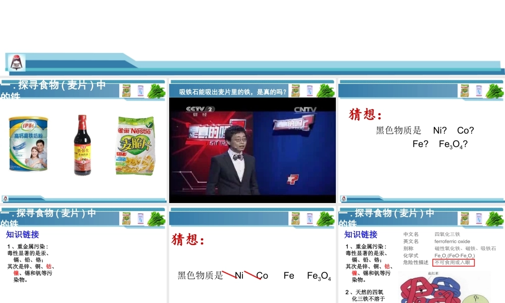 药食同源-探寻铁的踪迹.ppt