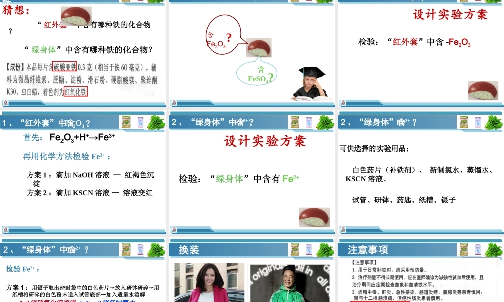 药食同源-探寻铁的踪迹.ppt