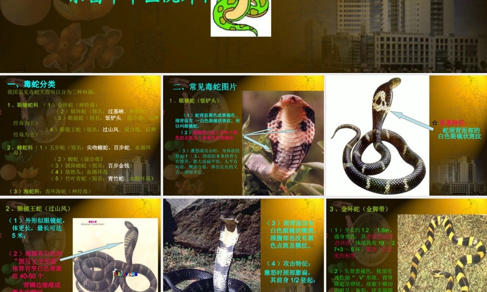 蛇咬伤诊疗常规.ppt