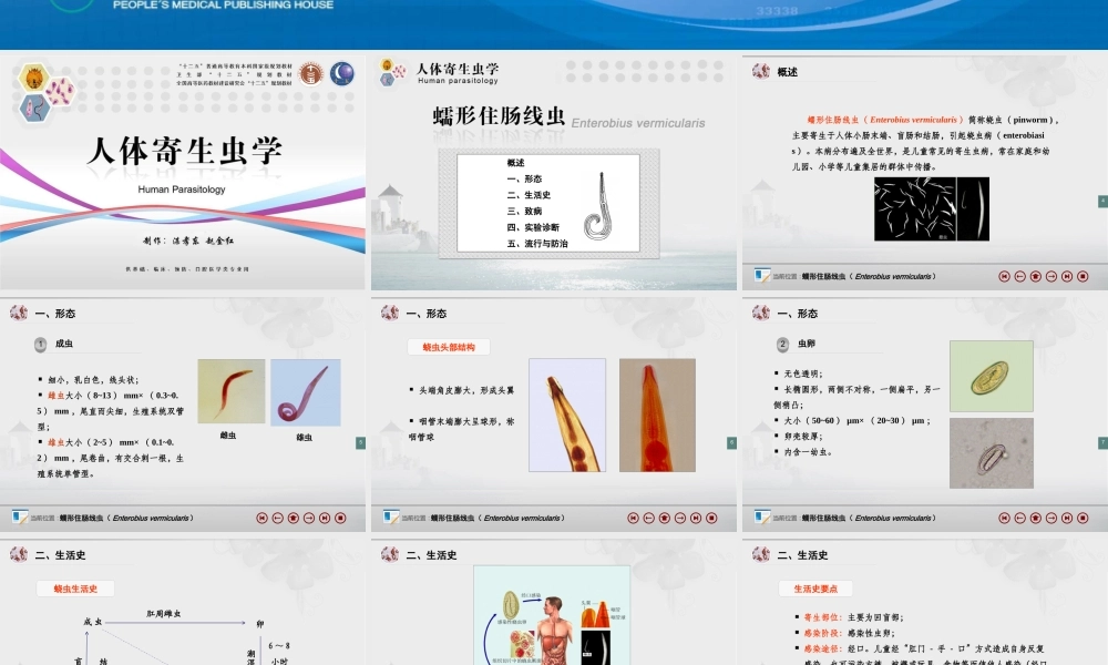 蠕形住肠线虫(蛲虫).ppt