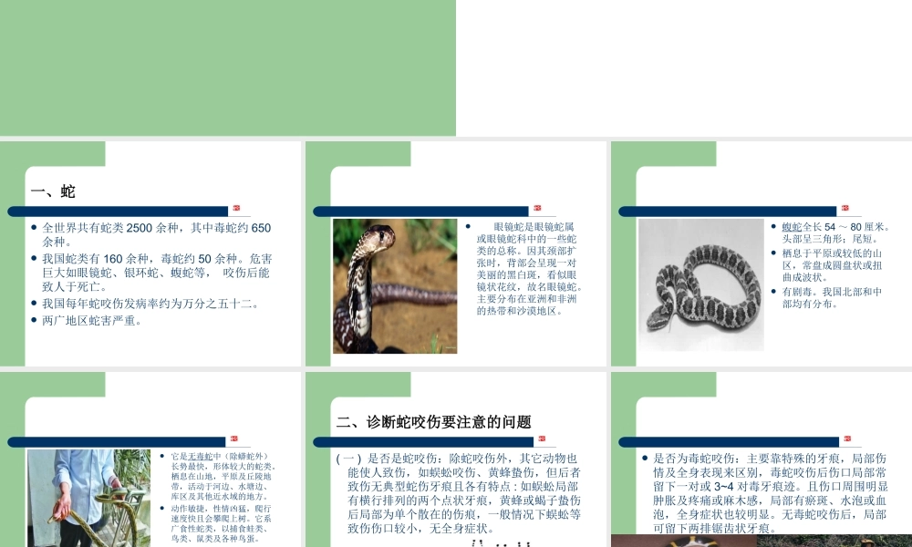 蛇咬伤防治.ppt