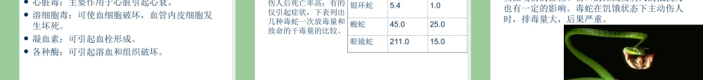 蛇咬伤防治.ppt