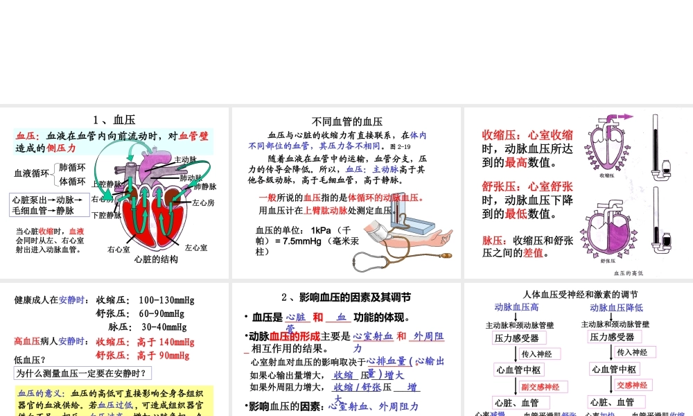 血压调节.ppt