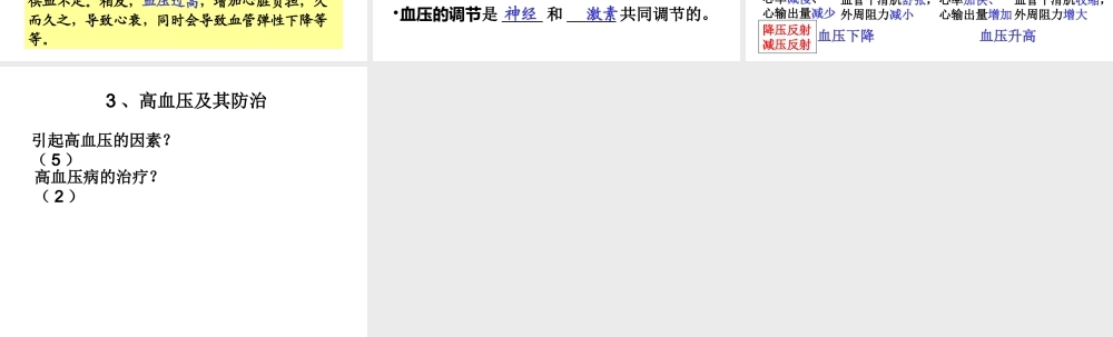 血压调节.ppt