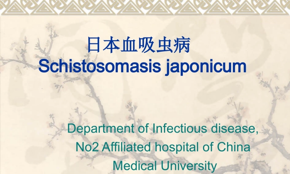 血吸虫Microsoft-PowerPoint-演示文稿.ppt