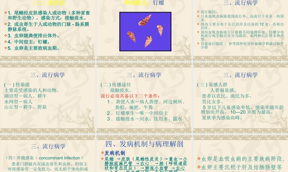 血吸虫Microsoft-PowerPoint-演示文稿.ppt