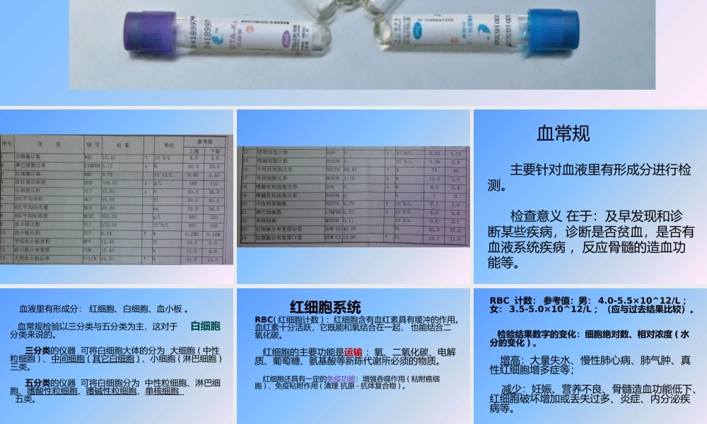 血常规各项指标分析--(五分群).pptx