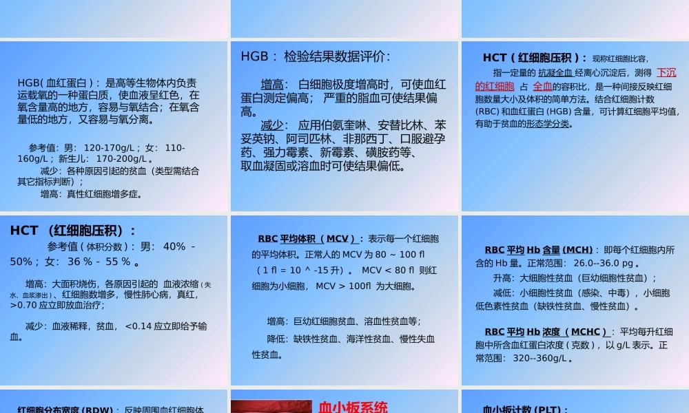 血常规各项指标分析--(五分群).pptx