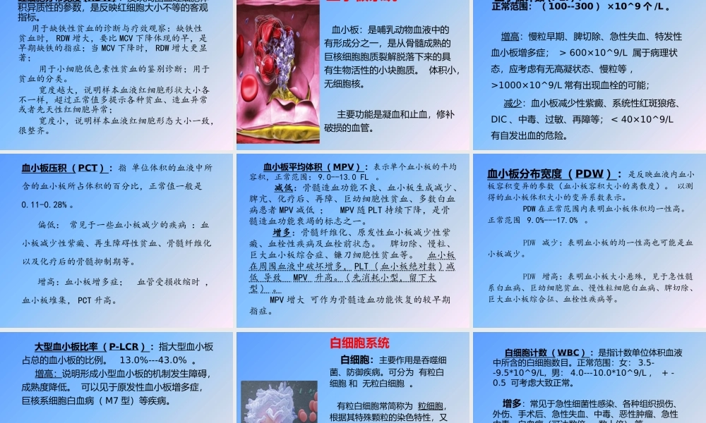血常规各项指标分析--(五分群).pptx