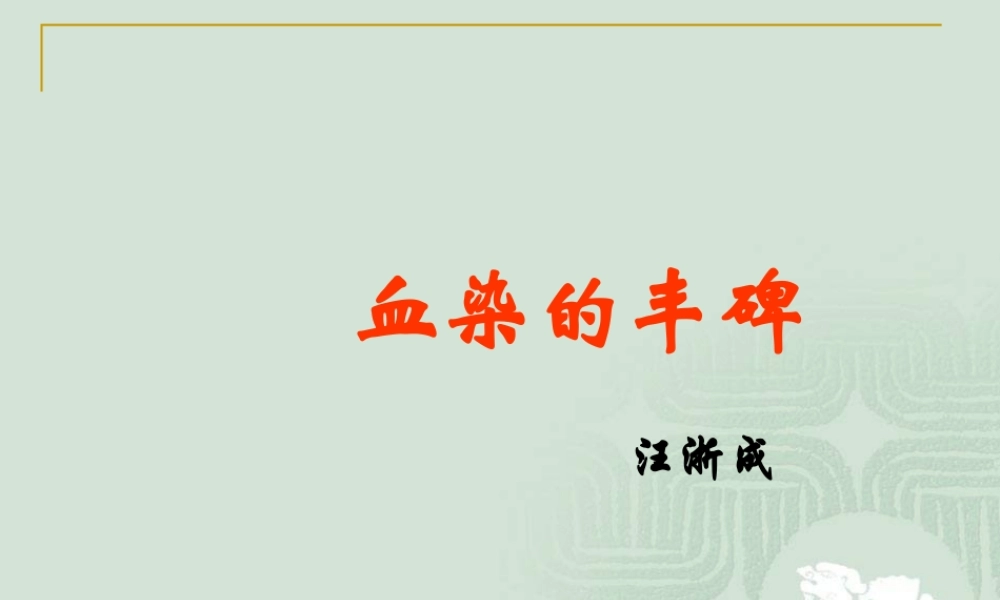 血染的丰碑2015分析.ppt