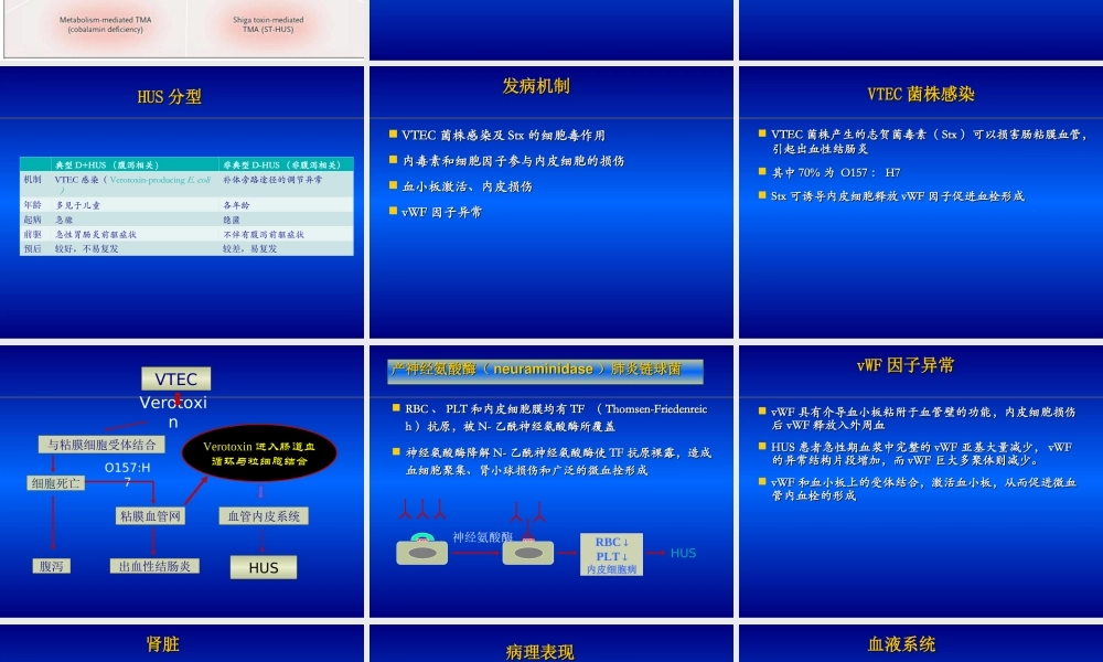 血栓性微血管病的诊治.ppt