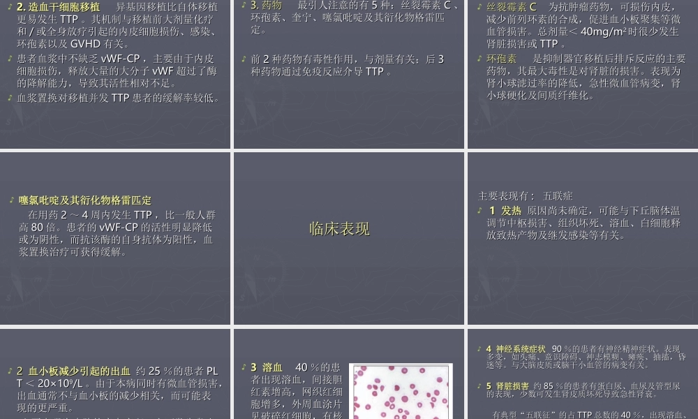 血栓性血小板减少性紫癜TTP.ppt