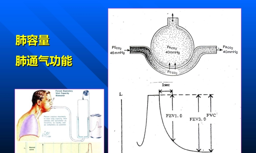 血气分析常用指标1.ppt