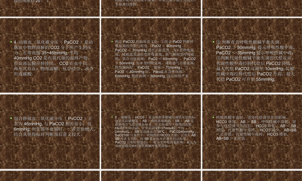 血气结果素材.ppt