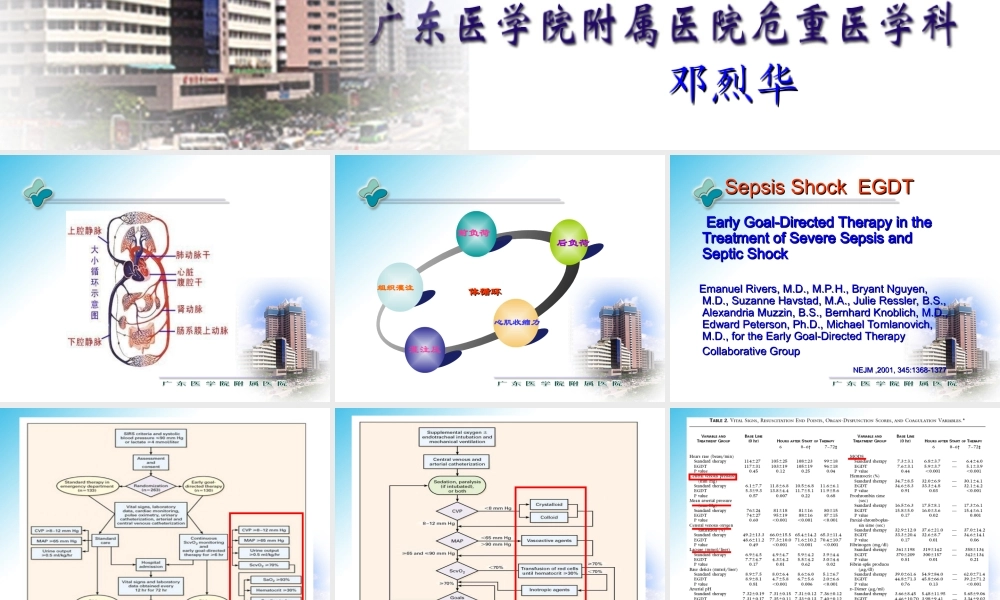 血流动力学支持.ppt