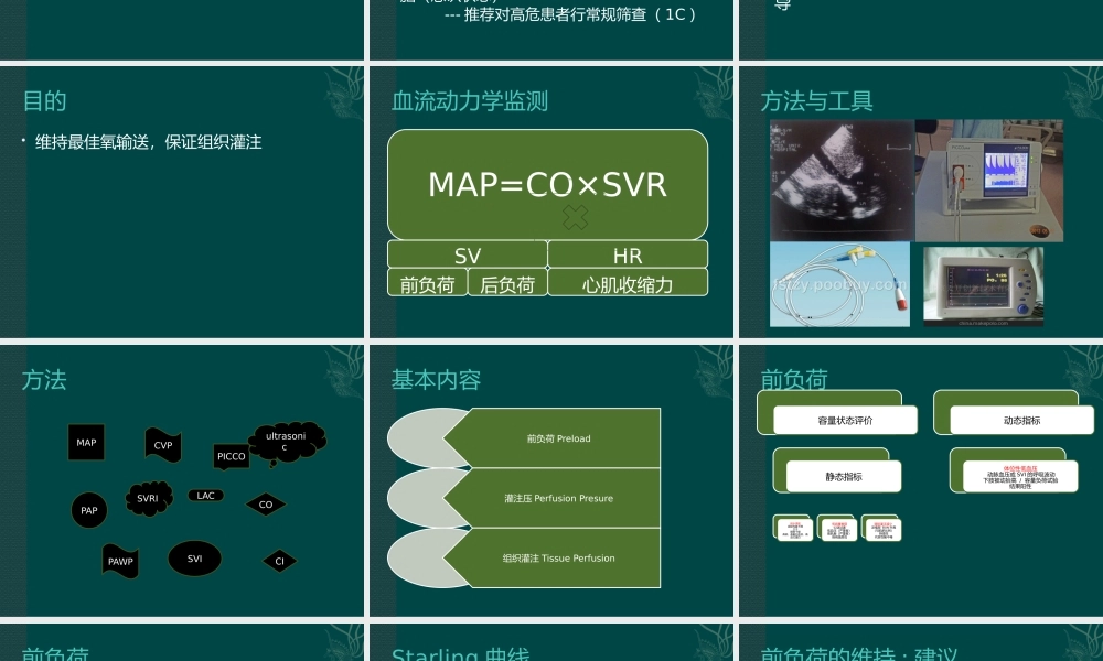 血流动力学监测-陈友英.pptx