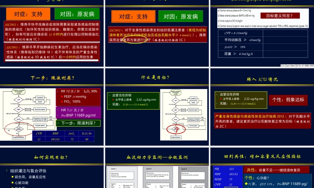 血流动力学监测与支持：可圈、可点(讨论).ppt