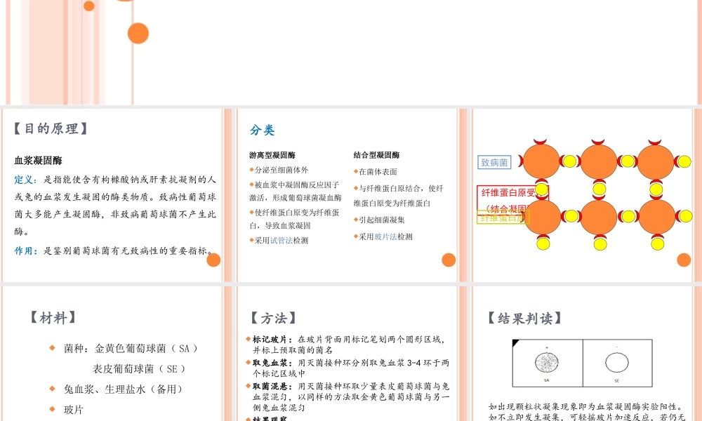 血浆凝固酶试验详解.ppt
