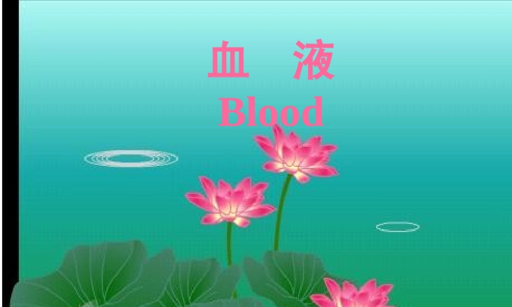 血液BLOOD--组织学和胚胎学.ppt