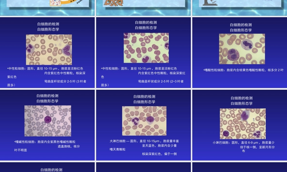 血液一般检查(2).ppt