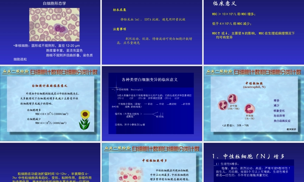 血液一般检查(2).ppt